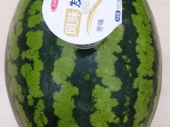 -庞各庄翠芳园西瓜蔬菜基地采摘园