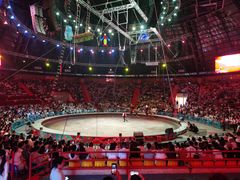 -俄罗斯国家大马戏团