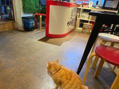 -大王油茶(磁器口店)