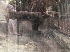 -柳州市动物园