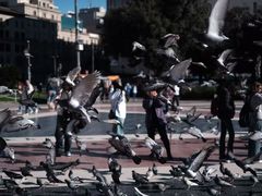 -加泰罗尼亚广场