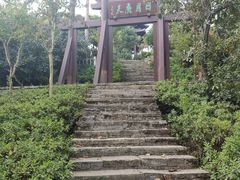 -杭州半山国家森林公园