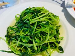 清炒鸡毛菜-峨嵋酒家(德内店)