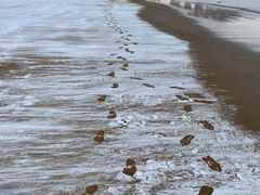 -青岛石老人海水浴场