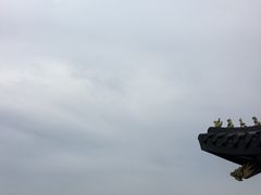 -西湖游船