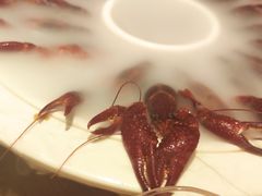 古越冰醉龙虾-虾满堂(瑞虹店)