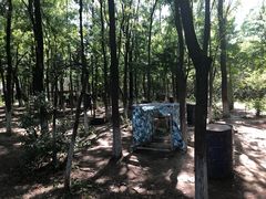 -亲兄弟真人CS团建拓展基地