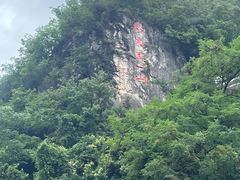 -黔灵山公园