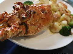 _SAM7114-新光酒家·河豚·海鲜·蟹料理(浦东店)
