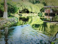 -八大山人梅湖景区