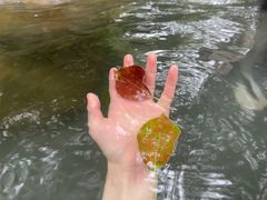 -柏联酒店