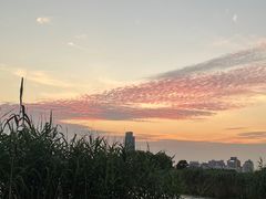 -澹台湖公园
