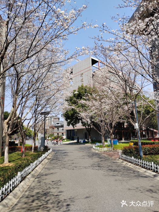 金陵中学(河西分校)图片