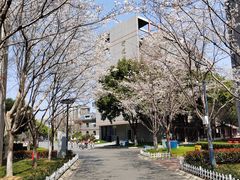 -金陵中学(河西分校)