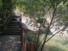 -广州白江湖森林公园