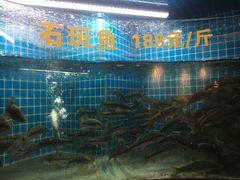 -千岛湖小鱼儿·淳安匠心农家菜