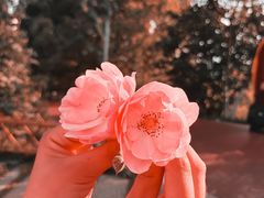 -宜昌富力皇冠假日酒店·咖啡1号西餐厅