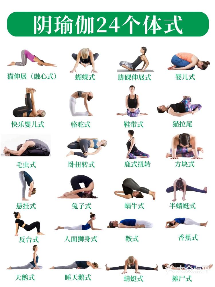 完整口令阴瑜伽24个体式‼