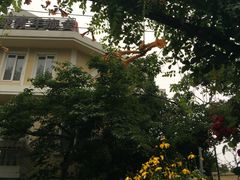 -长颈鹿咖啡(大学路店)