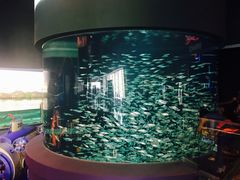 -瑞普利水族馆