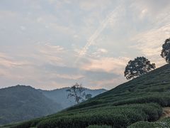 -旅马餐厅(茅家埠店)