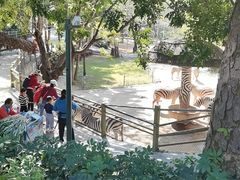 -深圳野生动物园