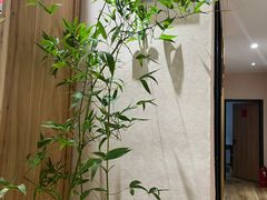 -隆德堂青瓷艺术·茶馆(故宫店)