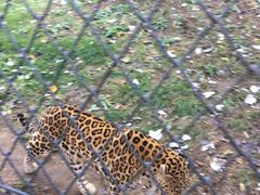 -大连森林动物园