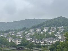 -黄贤森林公园