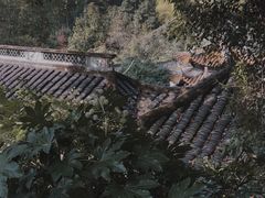 -杭州黄龙洞
