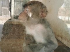 -如皋市龙游湖欢乐世界