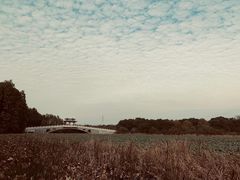 -东湖落雁景区