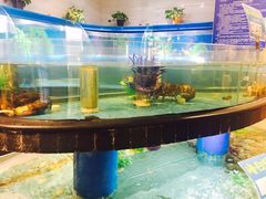 -眉州东坡(华联万柳店)