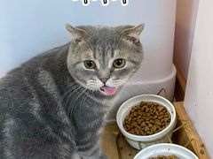 -猫咪派对(江南西店)