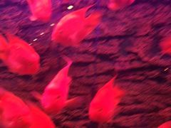 -鑫麦KTV(首都宾馆店)
