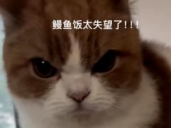 -吉野家(成都时代奥莱店)