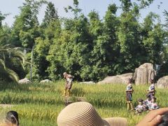 -云南民族村