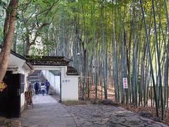 -杭州黄龙洞