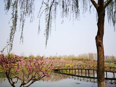 -兰陵国家农业公园