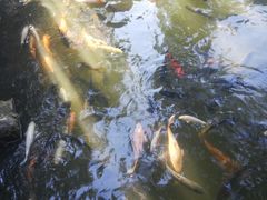 -珠海圆明新园