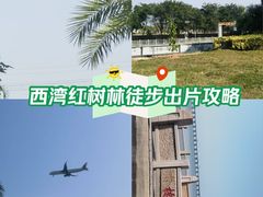 -宝安西湾红树林湿地公园