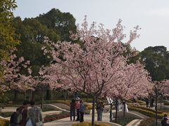 -新江湾城公园