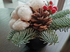 -广州柏悦酒店·悦景轩·粤菜餐厅