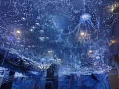 -玺尊龙·云岭四季(西南店)