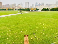 -大连人民广场