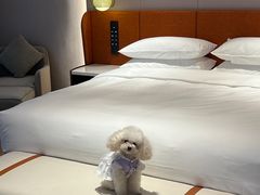 -广州花都希尔顿惠庭酒店