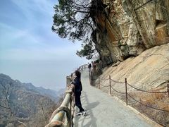 -少华山国家森林公园