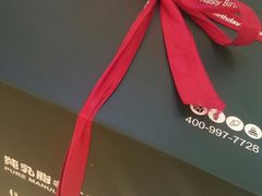 -维尔纳斯·生日蛋糕·动物奶油冰淇淋蛋糕(六里桥店)