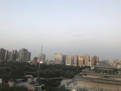 -真爱中国餐馆·年华店(朱雀大街店)
