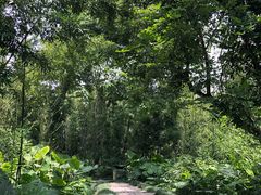 -福建鲤鱼洲酒店